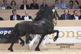 Bikkel_470_13.jpg