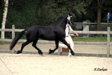 Laurenske_van_de_Vogelsberg_201102399_4.jpg