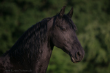 Renske_Berke_200503950_3.jpg