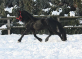 Xander_fan_Marksate_200702389_5.jpg