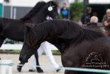 20120915_Jinte_001.jpg