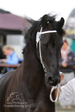 20120915_Meike_003.jpg