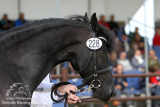 20120915_NynkeRis_001.jpg