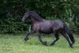 20180623_215.jpg