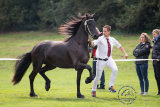 20180914_64Akki_004.jpg