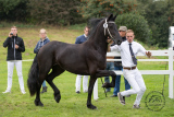 20180914_68Bente_002.jpg