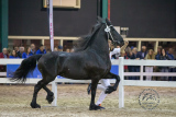 20180915_169_Hendrikje_002.jpg