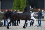20190428_Antje_007.jpg