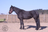 2003_Bella_001.jpg