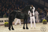 20051020_Oranje_2880.jpg