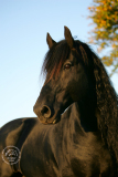 20101010_Aaron_051.jpg