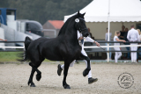 20210917_Fyrrha_1385.jpg