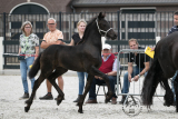 20220709_Uniek_2099.jpg