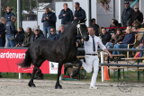 20220917_Xalvador_0134.jpg