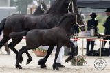 20210704_Pleun_1059.jpg