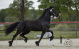 230524_Mayke_7987.jpg