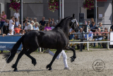 20230916_Veerle_5800.jpg
