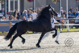 20230916_Yikke_3632.jpg