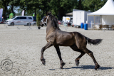 20230707_Wilbrand_1515.jpg