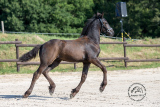 20190823_Jannes_03.jpg