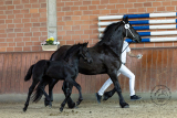 20230826_Wilma_1631.jpg