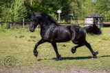 20250501_Urmel_8900.jpg