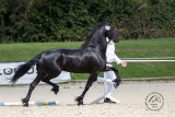 20250809_Hanne_2744.jpg